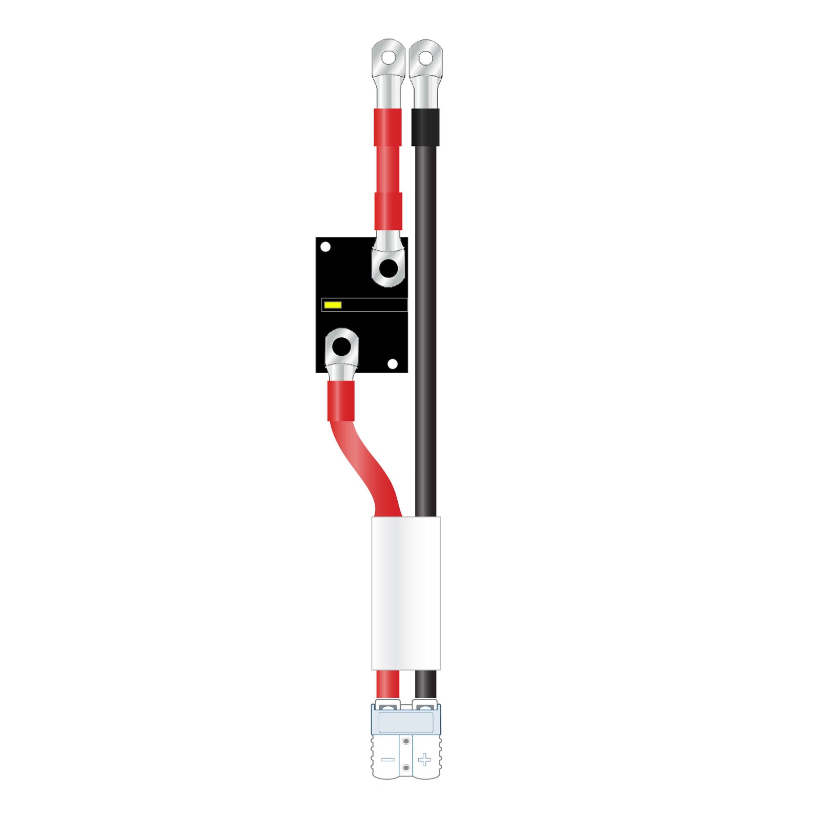 Trolling Motor Wiring Kit with Plugs, Breaker, and Fuse Options